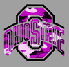 Ohio State Logo Pink Image